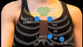 Sternal angle [upl. by Nimzaj]