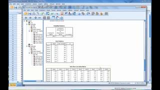 Calculating and Interpreting Cronbachs Alpha Using SPSS [upl. by Mcferren]