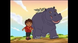 Go Diego Go  Diego Reunites Hippo [upl. by Nedac836]