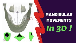 Mandibular Movements in 3D  SUPER EASY [upl. by Shanley]