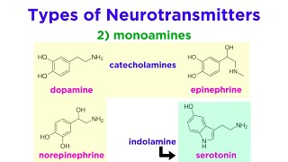 Neurotransmitters Type Structure and Function [upl. by Niveek719]