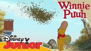 Kleine Abenteuer mit Winnie Puuh  Die Bienen  Disney Junior [upl. by Madge]