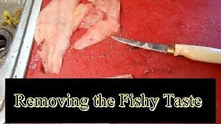 Removing the Fishy Taste from Catfish How to [upl. by Oynotna721]