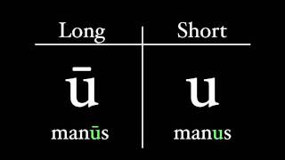 The Latin Alphabet  Vowel Pronunciation [upl. by Aicemak565]