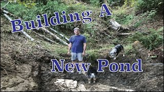 Building My First Pond with Creek [upl. by Matland]