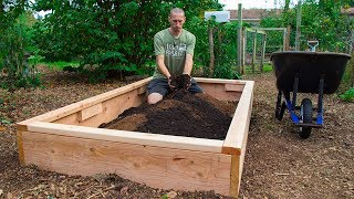 How to Build a Raised Bed CHEAP and EASY Backyard Gardening [upl. by Eilujna]