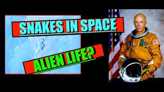 Snakes in Space [upl. by Cowan]