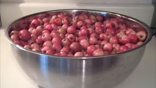 Canning Crabapple Butter Jelly and Crabapplesauce [upl. by Worsham411]