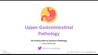 Upper Gastrointestinal GI Pathology  Introduction to Systemic Pathology [upl. by Zehc949]