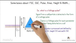 Flow Cytometry Tutorials Doublet Discrimination [upl. by Auguste]