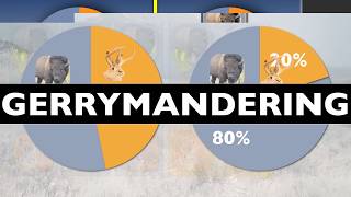 Gerrymandering Explained [upl. by Sutelc726]