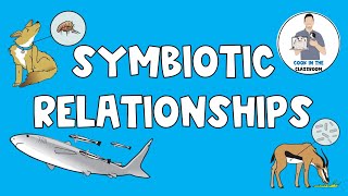 Symbiotic Relationships [upl. by Kamin]