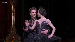 Swan Lake  Act 3  Black Swan Pas de Deux  Marianela Nunez amp Vadim Muntagirov [upl. by Annecorinne]