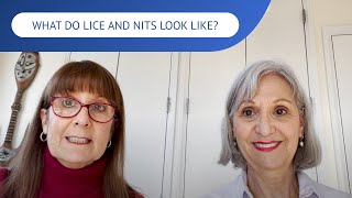 What Do Lice and Nits Look Like  LiceDoctors [upl. by Norit]