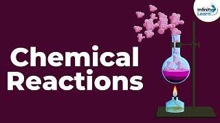 Introduction to Chemical Reactions and Equations  Dont Memorise [upl. by Beitch]