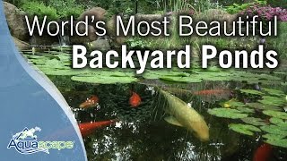 Worlds Most Beautiful Backyard Ponds [upl. by Kylstra]