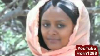 Ethiopian Traditional Music 2014 ኑርአዲስ ሰይድ  ሃዋ mp4 [upl. by Meri]