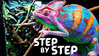 DIY Chameleon Pet Setup  Bioactive Panther Chameleon Setup [upl. by Rogers468]