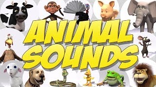 Learn Animal Sounds [upl. by Margret]