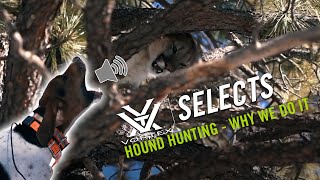 Hunting Mountain Lions Over Hounds ft The Untamed  Vortex Selects [upl. by Waters407]