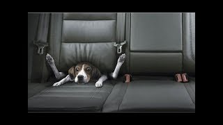 Best Car Commercials Ever  Greatest Car Ads All Time  The Used Car Guy [upl. by Meyer]