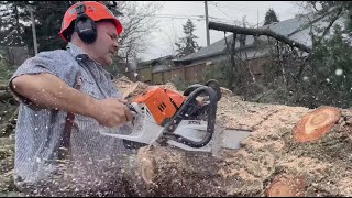 STIHL MS500i  World’s 1st Fuel Injected Chainsaw [upl. by Christos]