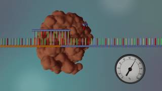 DNA Sequencing  3D [upl. by Benedikt856]