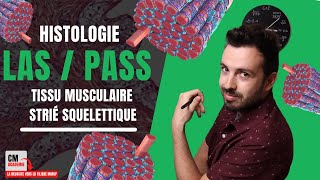 10 Ans à Manger Que de la Viande  ÇA FAIT QUOI [upl. by Ives]