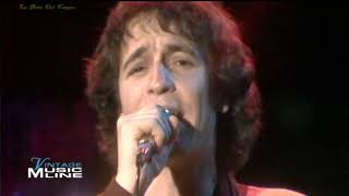 Rino Gaetano  A mano a mano Live 1981 [upl. by Ariahaj2]