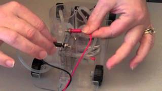 Hydrogen Activity How to Build a Hydrogen Fuel Cell Car [upl. by Hahseram]