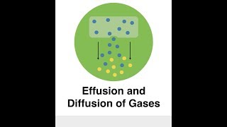 Effusion and Diffusion of Gases [upl. by Annaeel89]