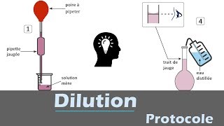 Dilution  🧪 Protocole  chimie [upl. by Roose]