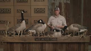 DSD Giant Decoys  Product Highlights [upl. by Fania]