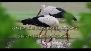 Kozienicki Park Krajobrazowy Zielone serce Mazowsza [upl. by Leiram]