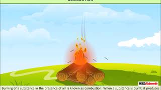 Combustion and Flame  Combustion  Class 8 [upl. by Ahseena]