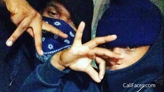 5 Biggest Crip Gangs In Los Angeles [upl. by Joses435]