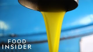 How Traditional Italian Olive Oil Is Made  Regional Eats [upl. by Chessy283]