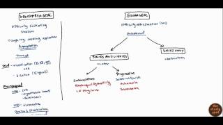 Swallowing Phases  Dysphagia Review [upl. by Lyrehc]