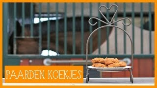 Paardenkoekjes maken  PaardenpraatTV [upl. by Tate804]