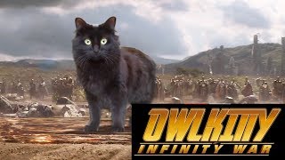 OwlKitty  Infinity War [upl. by Conley613]