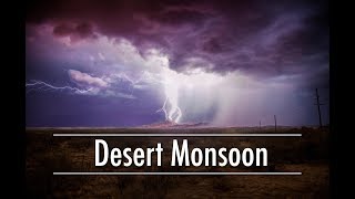 Desert Rain  Monsoons of the Sonoran Desert [upl. by Panchito]