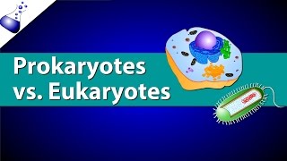 Prokaryotic Vs Eukaryotic Cells [upl. by Barcellona]