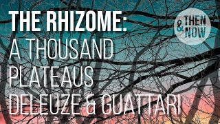 The Rhizome  A Thousand Plateaus Deleuze and Guattari [upl. by Lonni]