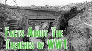 Trench Warfare Facts  The Trenches of WW1 [upl. by Ellebanna]