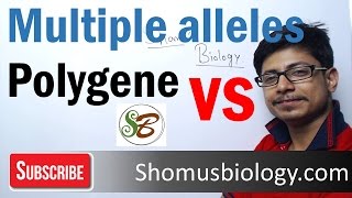 Difference between multiple alleles and polygenic inheritance [upl. by Aniehs802]