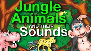 Jungle Animals and their Sounds  learning for kids [upl. by Kant786]