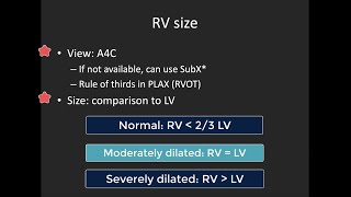 Lecture 7  Right Side Chamber Quantification [upl. by Linc]