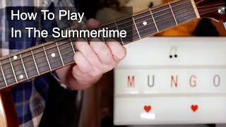 In The Summertime Mungo Jerry Acoustic Guitar Lesson [upl. by Raff]