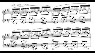 Chopin 24 Preludes Op28 Blechacz [upl. by Warfield]