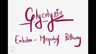 Glycolysis Embden Meyerhof Pathway  Aerobic  Anaerobic  ATP [upl. by Anitel]